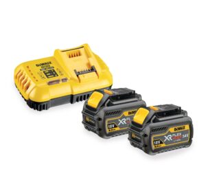 DeWALT DCB118T2